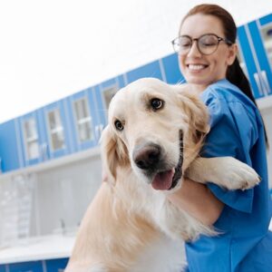 Bolsa para Curso Técnico em Veterinária